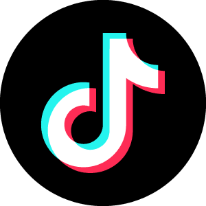 tiktok ads agency in algeria